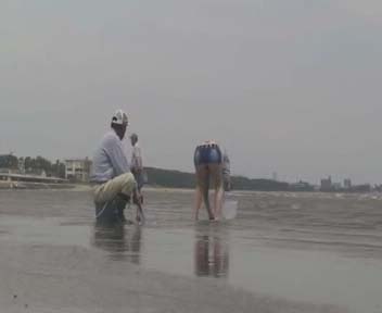 Watch video Squatting for Clams -bend over