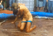 Watch video Mud Wrestling